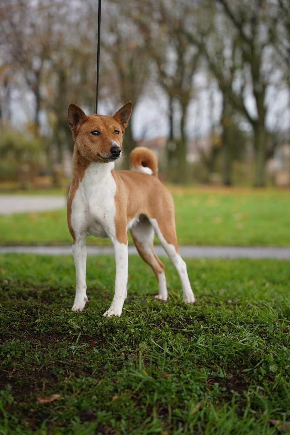 Roxy, la x-file des fringants complices